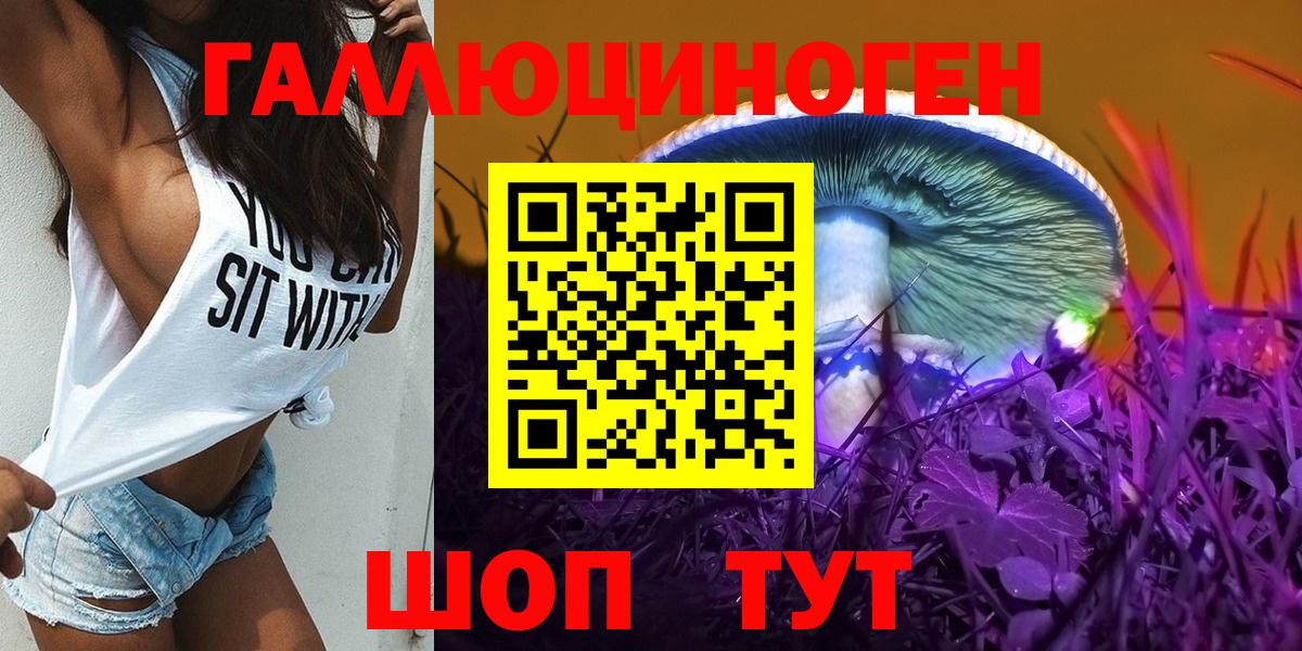 Псилоцибиновые грибы Psilocybe Скопин
