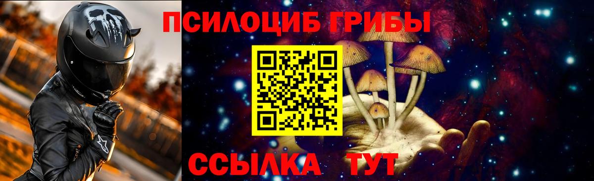 Скопин  Псилоцибиновые грибы Psilocybe  Вход с VPN 
